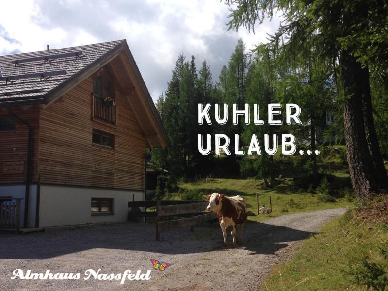 Almhaus Nassfeld Apartment ซอนเนนอัลเพอ นัสส์เฟลด์ ภายนอก รูปภาพ
